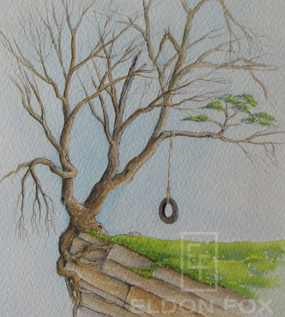 Tree Swing